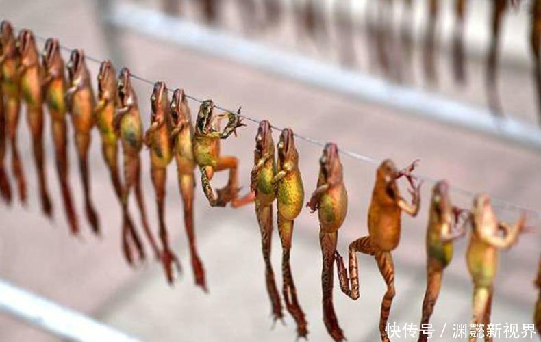 中国|中国的四种高级食材,你都吃过么