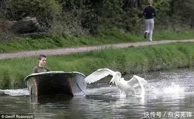 剑桥|剑桥“水怪”！揍人打狗未逢敌手？这么嚣张居然是女王给ta撑腰