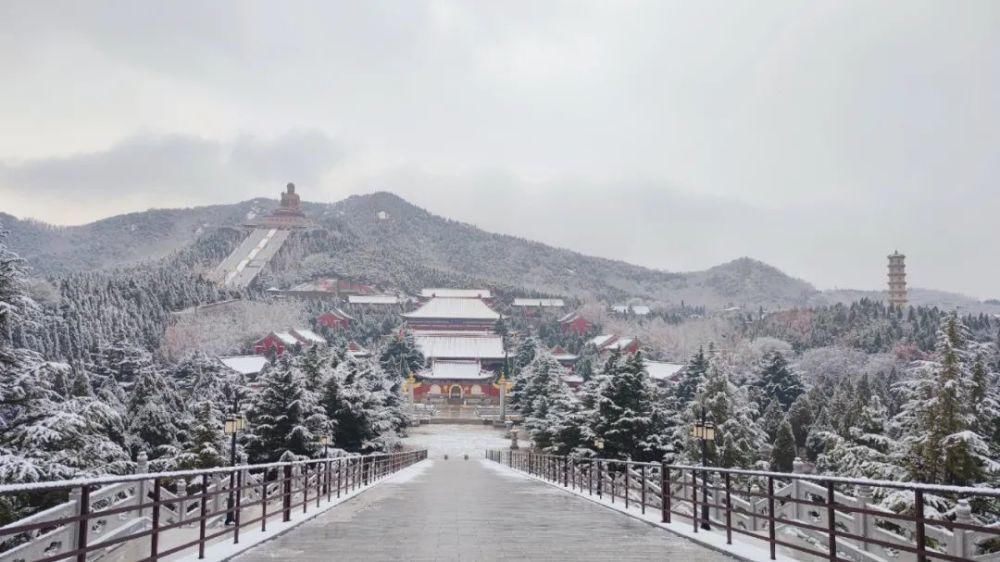 景区|惊艳！龙口南山景区迎初雪，这画面太美......