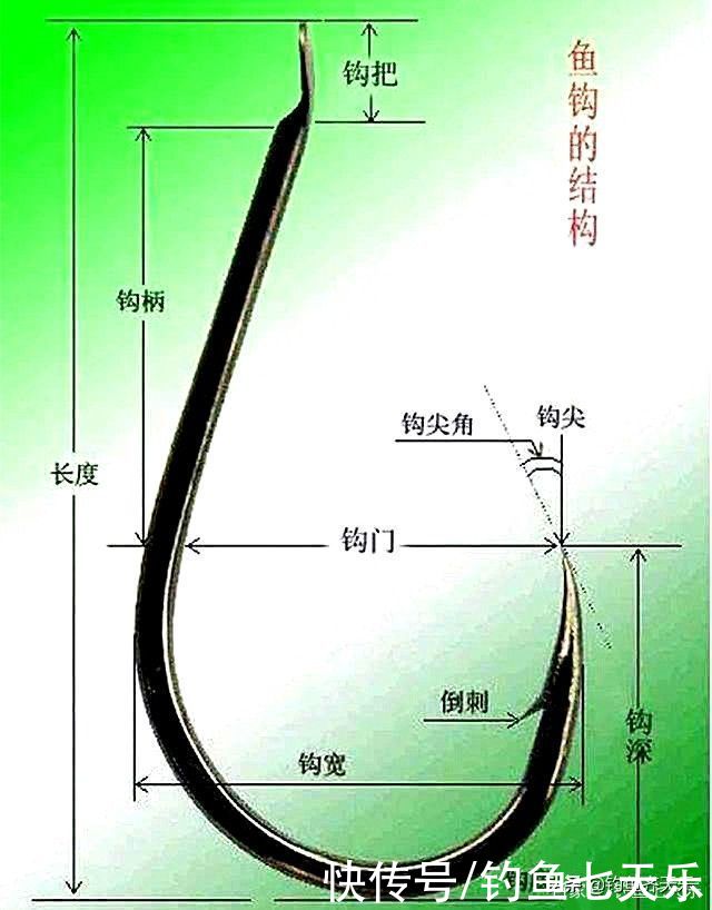 鱼类|“自贡版”垂钓规范来了！每天限钓5斤鱼，对钩门宽度也有规定