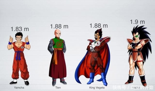 角色|龙珠角色身高大揭秘,贝吉塔很尴尬,孙悟空既是最高又是最矮!