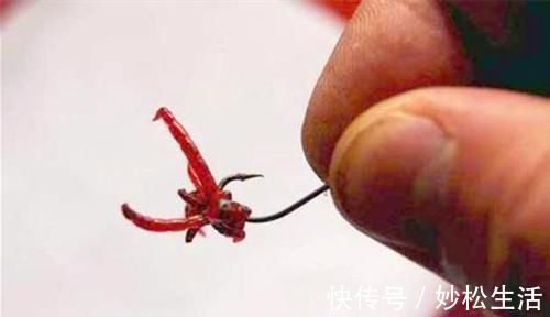 冬季用活饵钓鱼,试试这三种调漂方法,中鱼率超高!