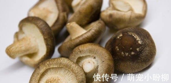 营养|晒干的香菇和新鲜的香菇，到底哪个营养高？看了你就知道了