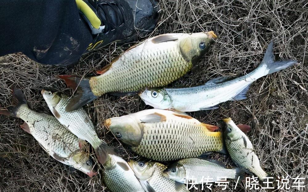 冬钓到底钓深还是钓浅,这几个必要条件,你得弄明白才行