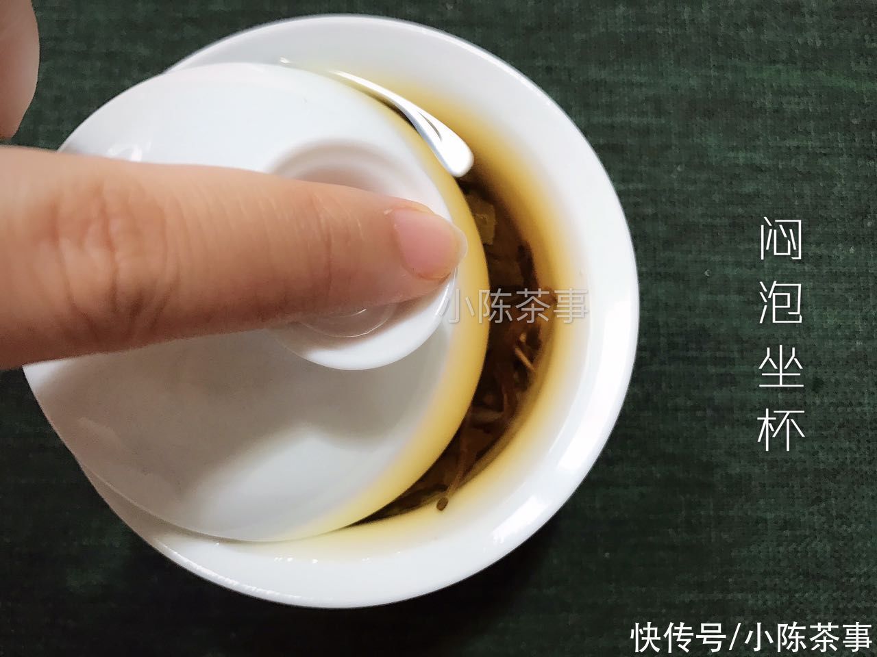 白茶品鉴手记|早上泡杯白茶,晚上再喝?看完这四点原因,答应我别再以身试茶了