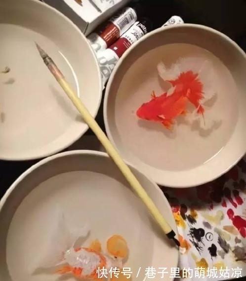 王昱珩|被《人民日报》表扬,1000万姑娘都想嫁,他将家变成热带雨林