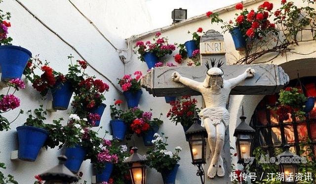 不一样的“庭院花园”,花草都上了墙