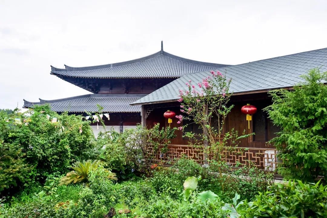 烟雨蒙蒙|初夏，最美不过天台白鹤的烟雨