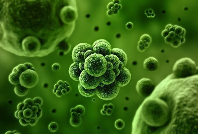 茶杯|8成人还在吃的6种“污垢”,细菌或许比厕所还多,懒人更易中招