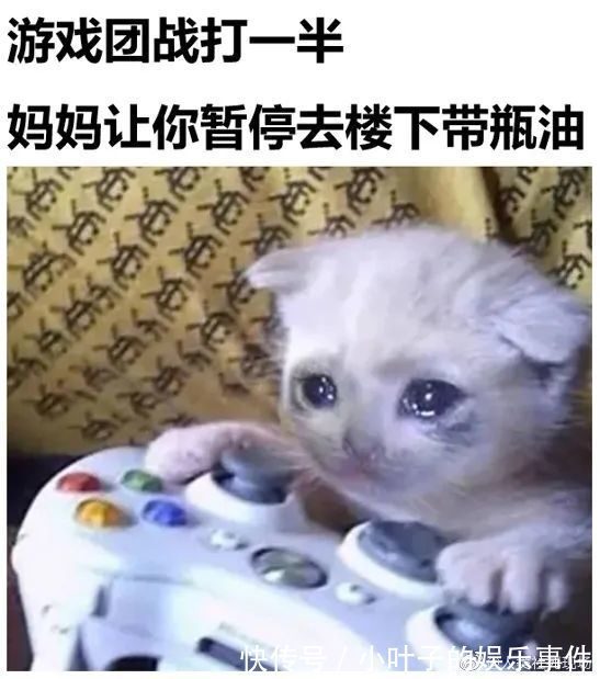 |【搞笑图片】撩妹翻车现场,哈哈哈这神奇的脑回复,也太直了吧!