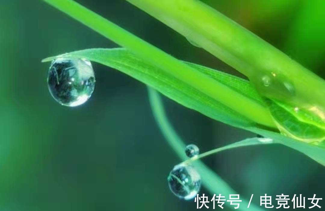 诗人$在关于“雨水”的古诗词中,这首诗尤其美妙,有多少人读过?