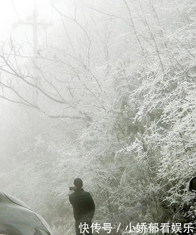 贵州|快看！贵州黔东南雷公山上处处银装素裹，风景美翻了……