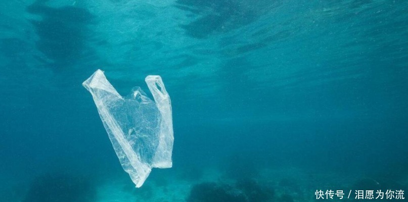 无人潜水器 3900米海底深处，“潜龙三号”拍摄了一组照片，我们应该反思