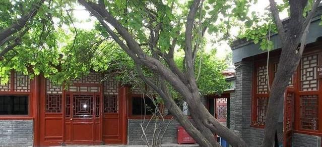 林徽因$鲁迅痛骂林微音,林微音不是林徽因,林徽因却为了他而改名