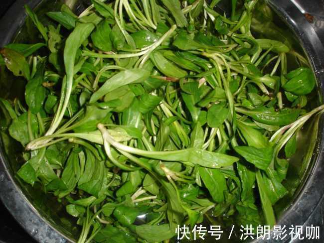 槐花|人到中年,适合常吃以下食物,排毒清肠,滋肝明目,好处多多