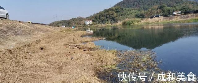 冬季钓鱼到底是晴天好还是雨天好?选对天气才能钓得更多