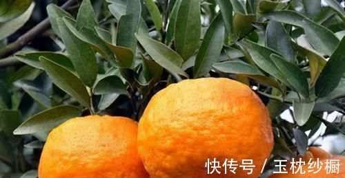 艾灸|艾治百病!艾叶烧完,灰别扔,收集起来,有你意想不到的神奇功效
