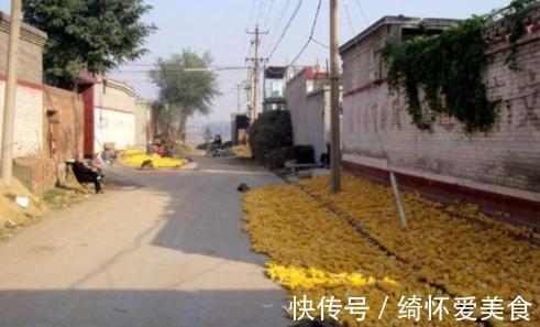 月子|新妈妈不想去农村婆婆家坐月子,结果去了后居然不想回城里了