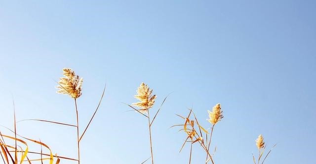 偏执|做人需圆融,忌偏执,急躁