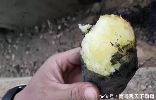 才能|只有农村孩子才能吃到的“野味”,现在没人敢吃,吃货:贴钱也不吃!