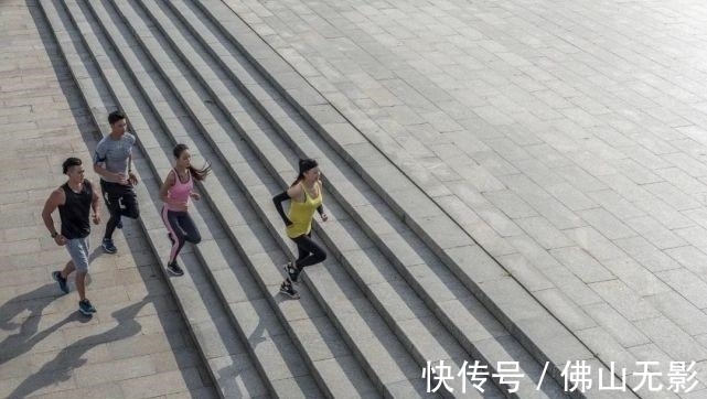 白猫|跑了2000公里后，我想跟你聊聊晨跑好还是夜跑好