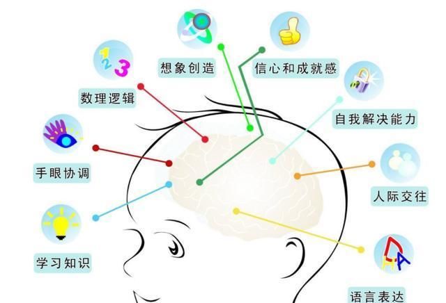 文章插图这个阶段科学,正确的方式来对大脑进行开发,非常有效果.