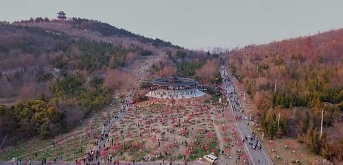 春节期间淮南最火的景点，不是寿县和八公山，而是昙花一现的梅园