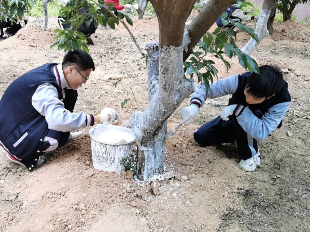  压满|品遍香茗尝甘苦 压满繁花定枯荣