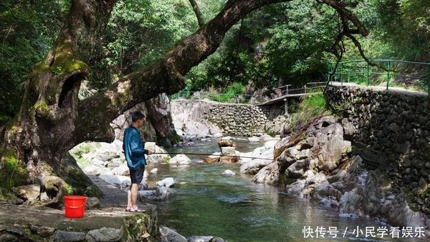  鱼率|夏季三伏天钓鱼怎么钓？钓鱼高手给你支个招，提高中鱼率