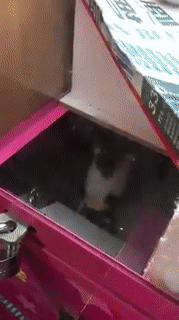 |搞笑GIF：拥有的技能全是好哥们喜欢，妹子不喜欢的~