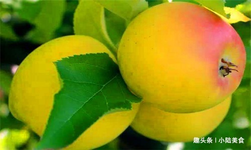 产后乳汁|聪明人都在吃4种食物,排出毒素,净化血液,促进血液循环