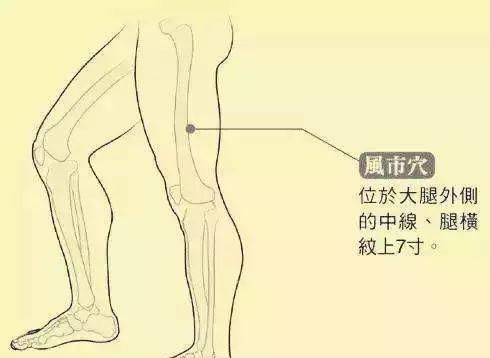阳陵泉|疑病多郁!久治不愈?谨记这条经络上“五朵金花”!疾病无处可藏