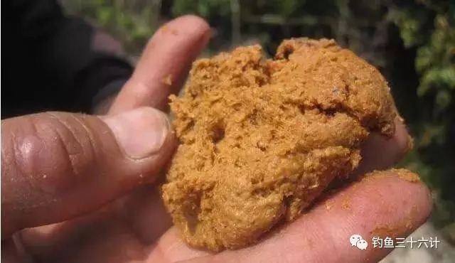 老司机分享“旧饵新用”的方法！用剩的饵料不要扔，留着有大用！