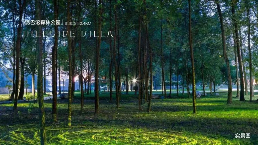 成渝都市圈|大发地产深耕成渝都市圈，与人文共生，与城市共鸣