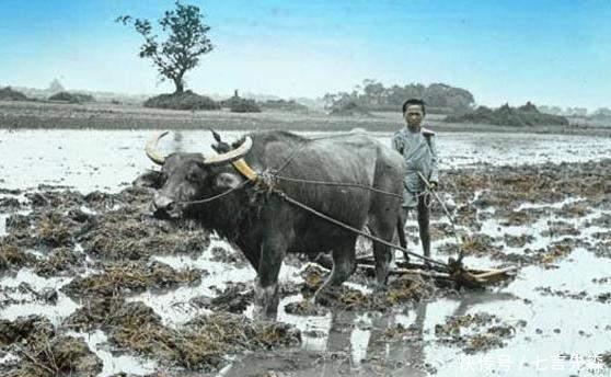 老照片|晚清罕见上色老照片图4女子媚态毕露、图7男子行为让人唾弃