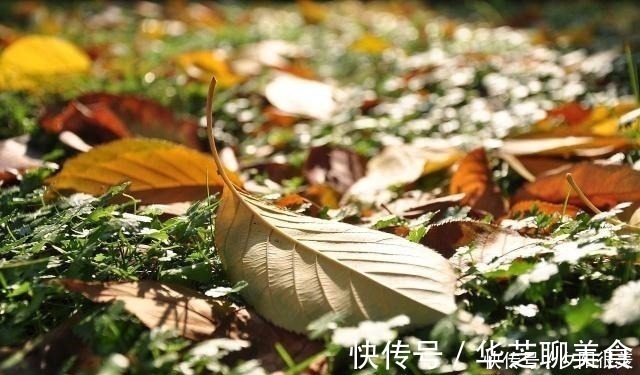 草色#王维劝朋友加餐,竟也能成千古绝唱,短短几句安慰了多少失意人