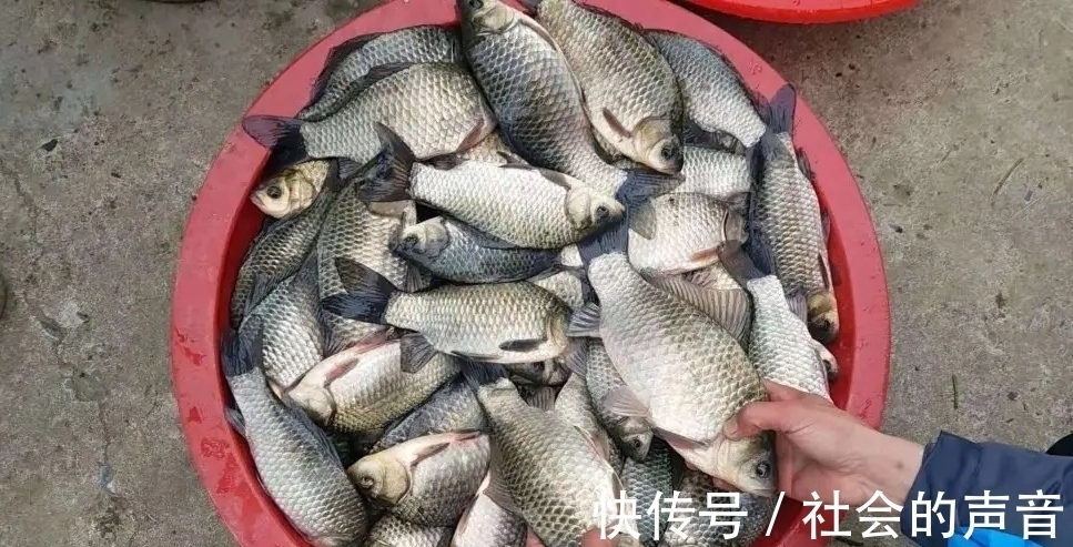 钓鱼|初冬钓大板鲫,这种常见的天气易“爆护”,很多钓友反而不重视