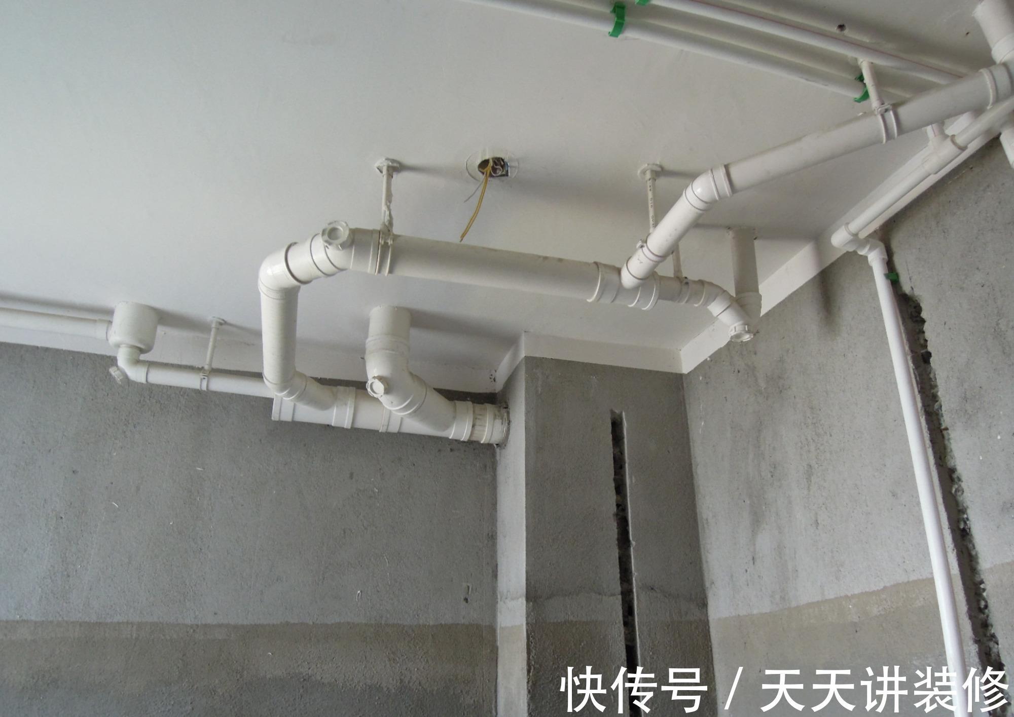 卫生间|卫生间里的小飞虫是什么?只需三步,就能彻底杜绝!