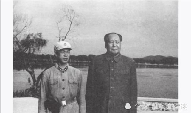 还升|毛主席指示:这个厂长应该撤职,警卫员却发现不但没撤还升了