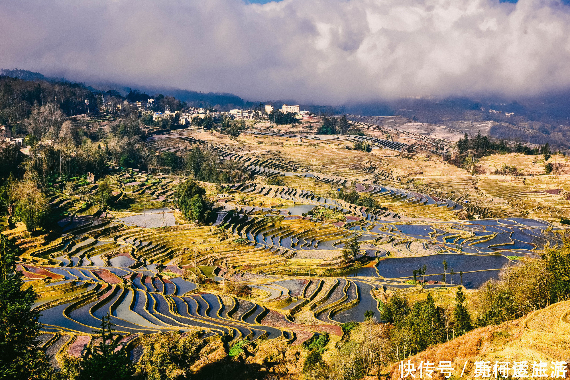 红河哈尼梯田|中国最大梯田，3700阶梯田像直插云海的天梯，游客：第一次见