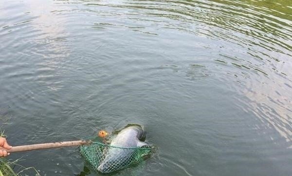 钓鱼时,只要你掌握这4大原则,不愁钓不到鱼!