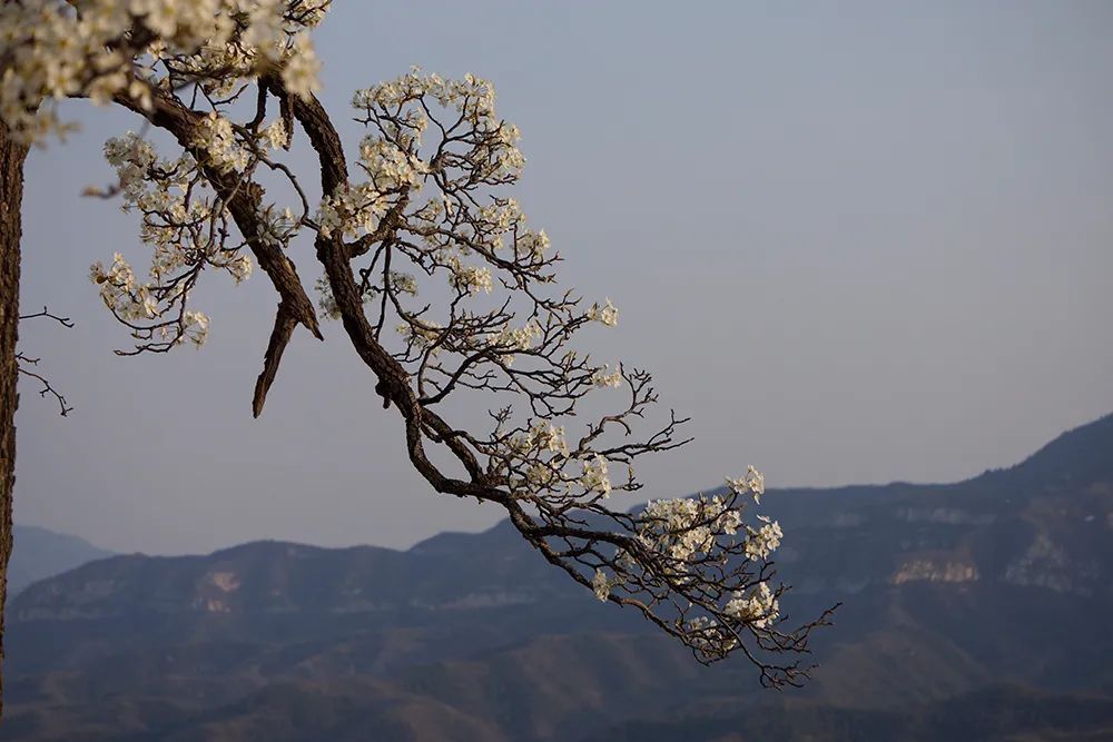 风景区|每日一景：井陉美——辛庄乡