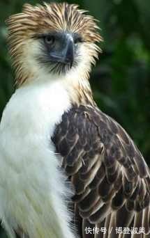 蛊雕|揭秘山海经,一部古代中国人的全球迁徙史书,原来中华不止五千年