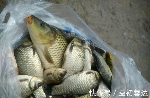 钩体|蚯蚓钓鱼使用小技巧,让钓鱼爱好者少走弯路