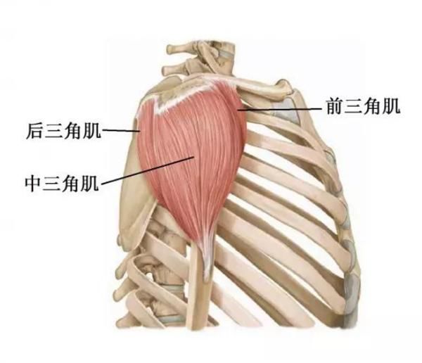 免疫|为什么一定要“打”疫苗？“吃”不好吗？