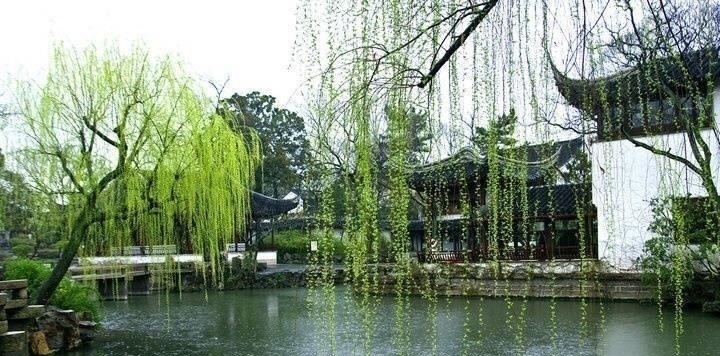 千古名句$杜甫别有风神的一首咏梅诗,誉为古今咏梅第一,末二句成千古名句