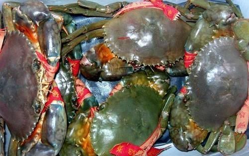 同样是蟹,梭子蟹、大闸蟹、青蟹都有啥区别看完下次别再买错