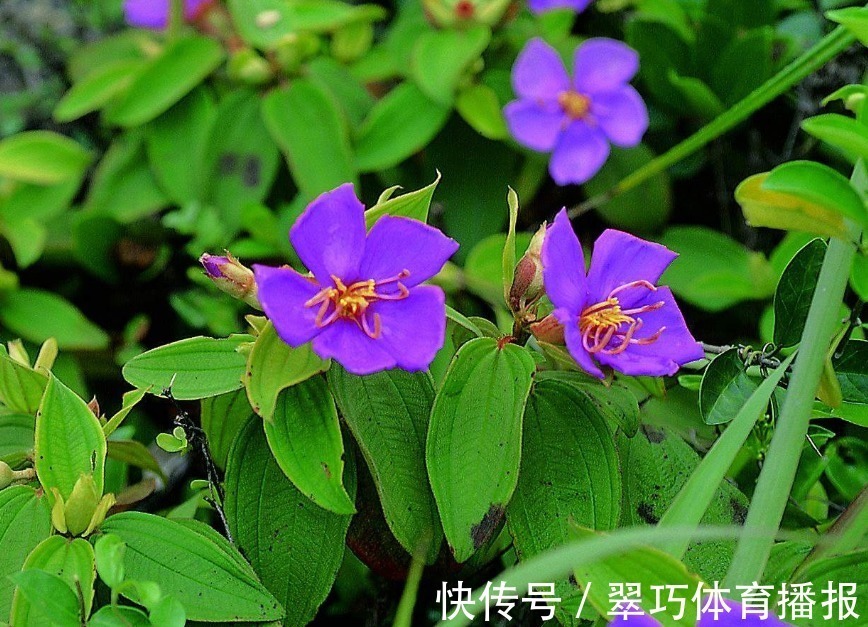 行动派|“把老婆当宝贝的”3大生肖男,对妻子很疼爱,女人要了解