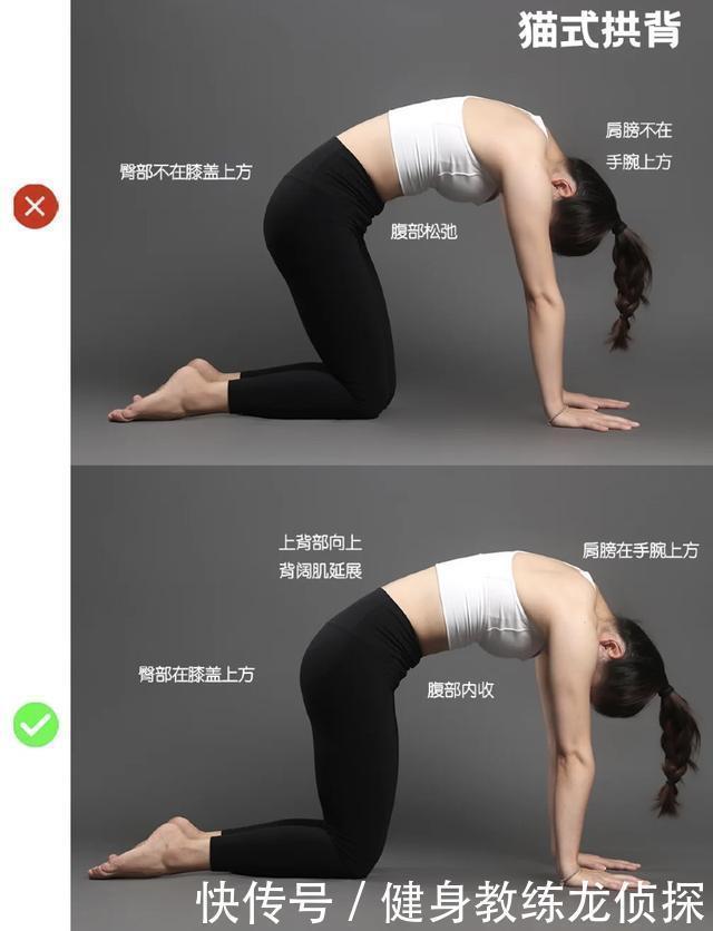 肩膀|她是人间超模小芭比,可爱又性感,靠瑜伽保持好身材,你不练吗?