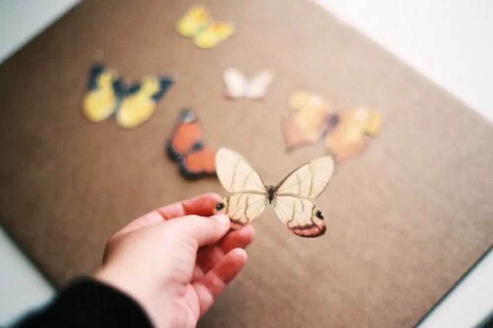 天涯!指尖微凉的记忆,如你留下爱的种子